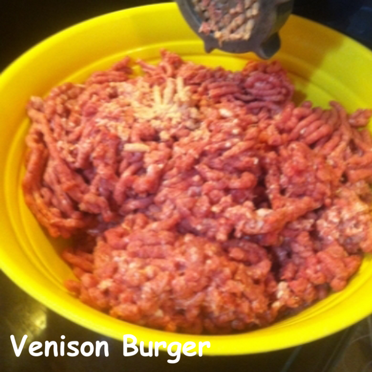 Venison Burger